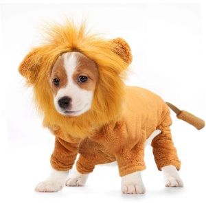 Lion Costume for Cat or Dog